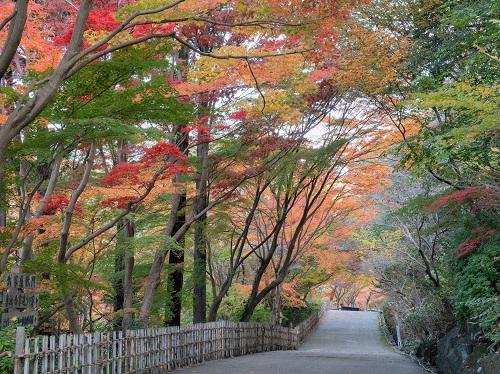 月夜野工房　ランプ　紅葉　もみじ　クラフト 月夜野工房 ランプ 紅葉 もみじ クラフト 月夜野工房 ランプ 紅葉